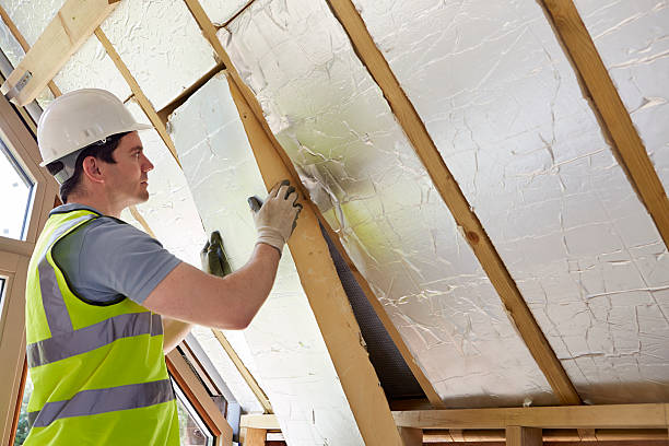Best Affordable Insulation Services  in , IN
