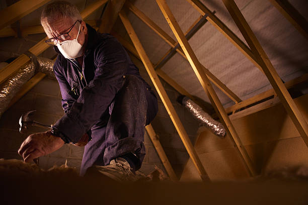 Best Attic Insulation Installation  in , IN
